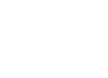 ZebraSnake